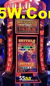 55aa App Interface